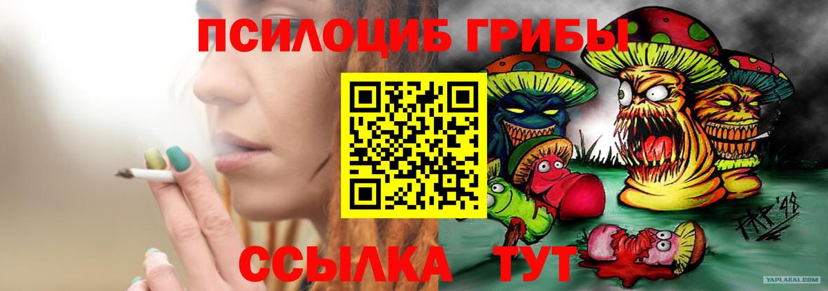 Псилоцибиновые грибы Psilocybe  Галлюциногенные грибы мицелий  Карталы  Вход с VPN 